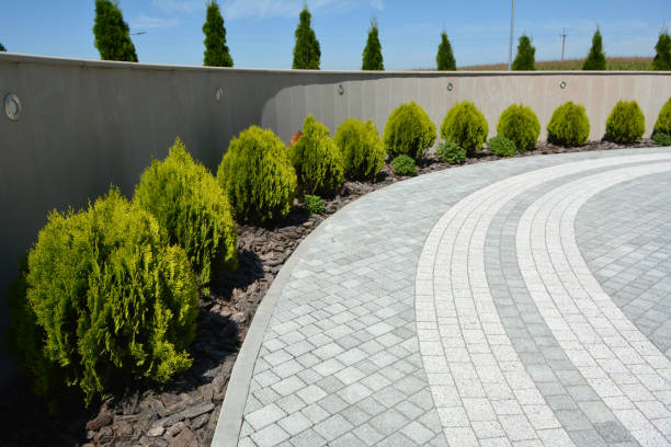 Best Decorative Driveway Pavers  in Trucksville, PA